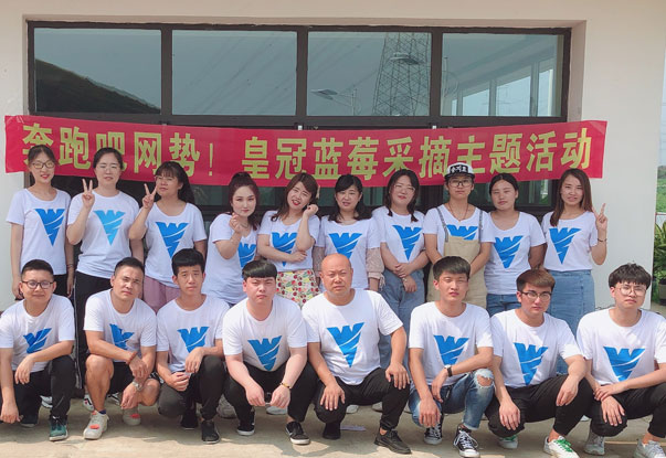 【奔跑吧網(wǎng)勢！】藍(lán)莓采摘主題團(tuán)建活動